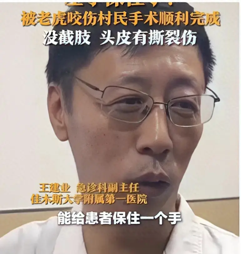 澳门王中王论坛开奖资料，黑龙江村民遭东北虎袭击，左手幸运保住  