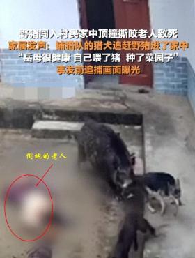 澳门资料大全2023，解读：陕西一野猪闯入民宅，老人被撕咬身亡，家属发声：合情合理的赔偿  