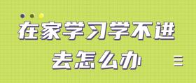 新澳全年免费资料大全，国产化作答解释落实：在家学习学不进去怎么办  